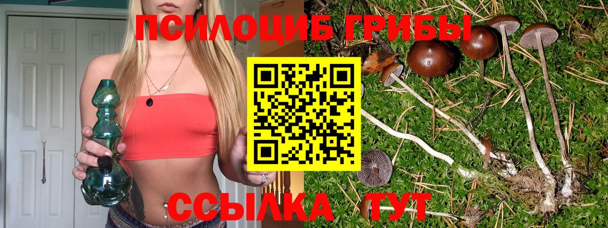 Псилоцибиновые грибы мухоморы Богородск